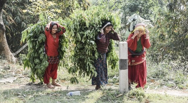 7MML Ritorno al centro, Mountain Bike - Damauli 7MML Ritorno al centro, Mountain Bike - Damauli