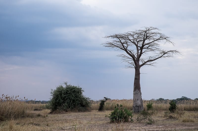 Lilongwe National Park