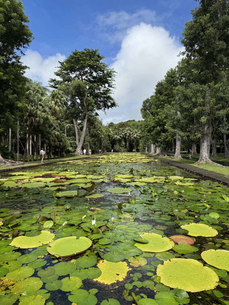 Giardini di Pamplemousses