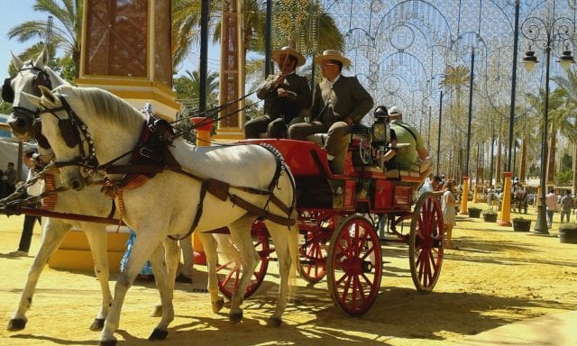 Feria del caballo a Jerez de la Frontera Feria del caballo a Jerez de la Frontera - Andalusia, Spagna