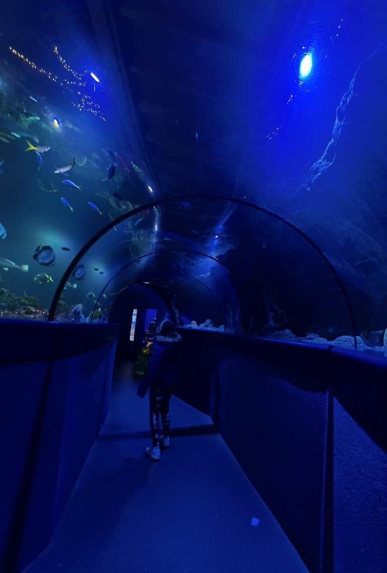 Bristol Aquarium