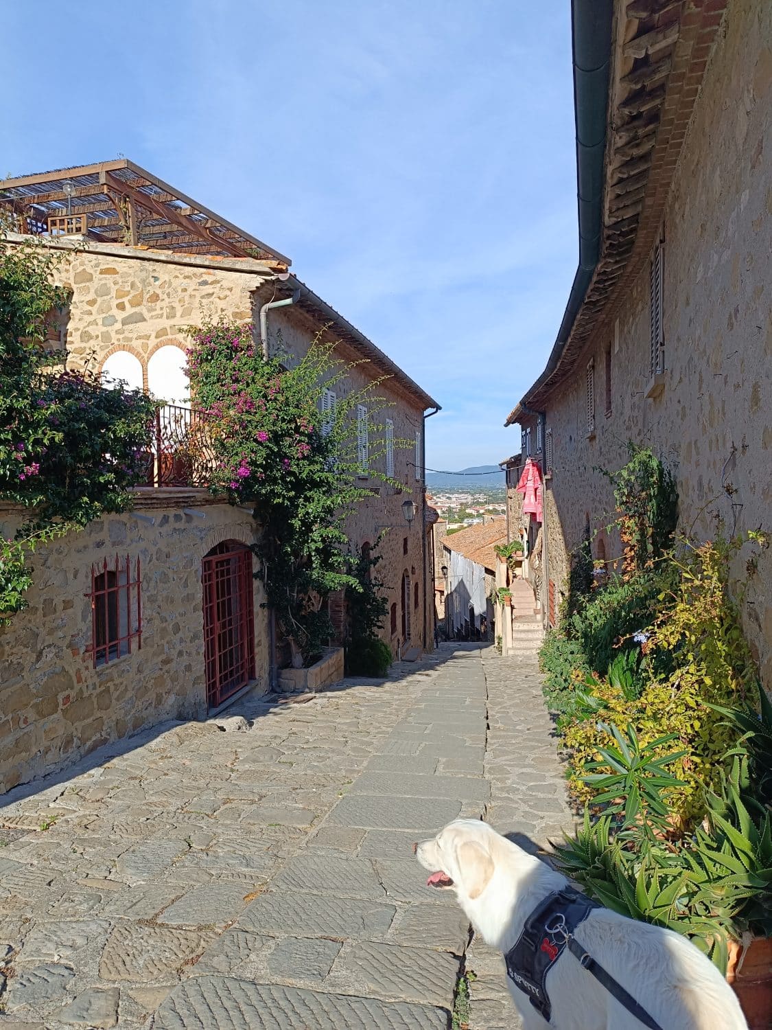 Castiglione della
Pescaia