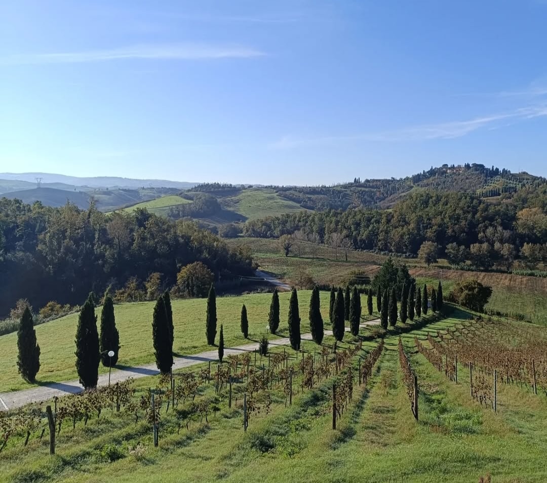 Casa Vacanza Colli Bertini