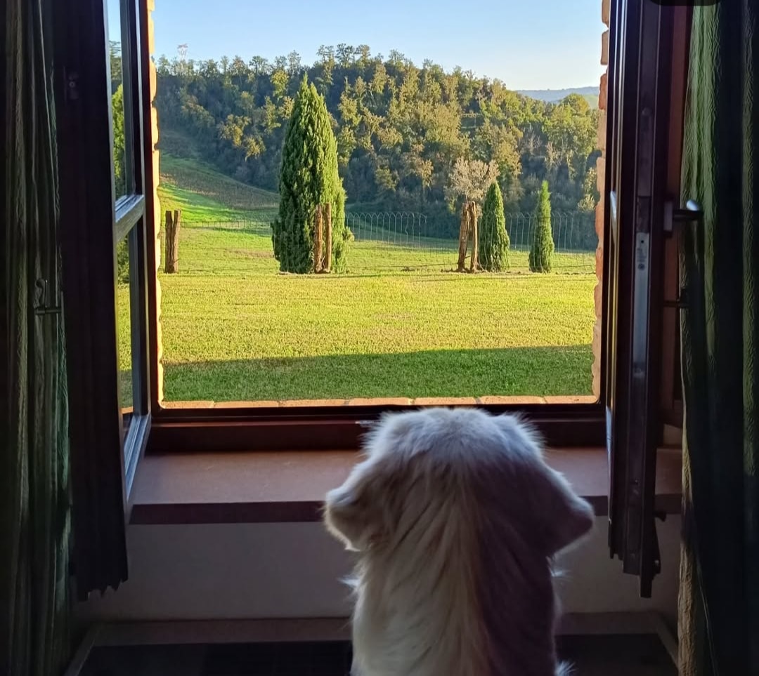 Casa Vacanza Colli Bertini