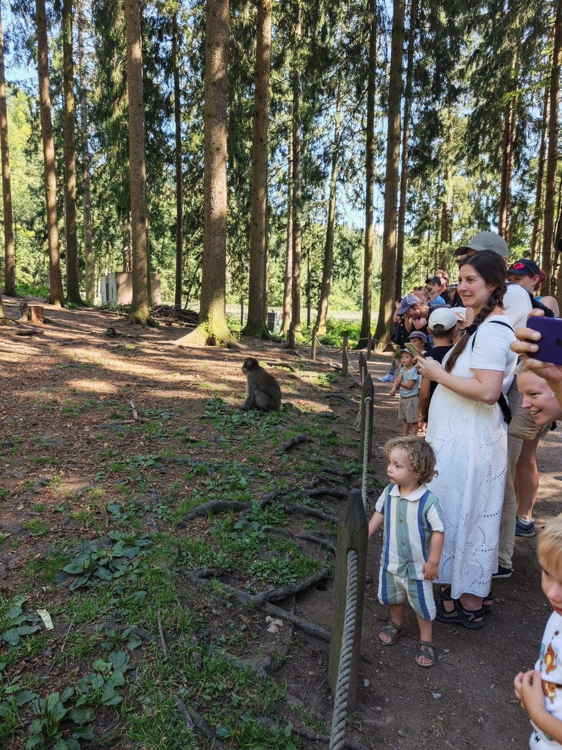 Abenteuer Affenberg