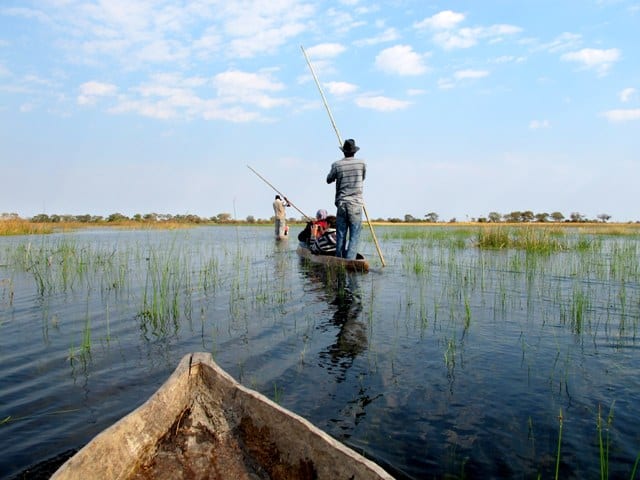Sull'Okavango a bordo dei mokoro Okavango - Botswana
