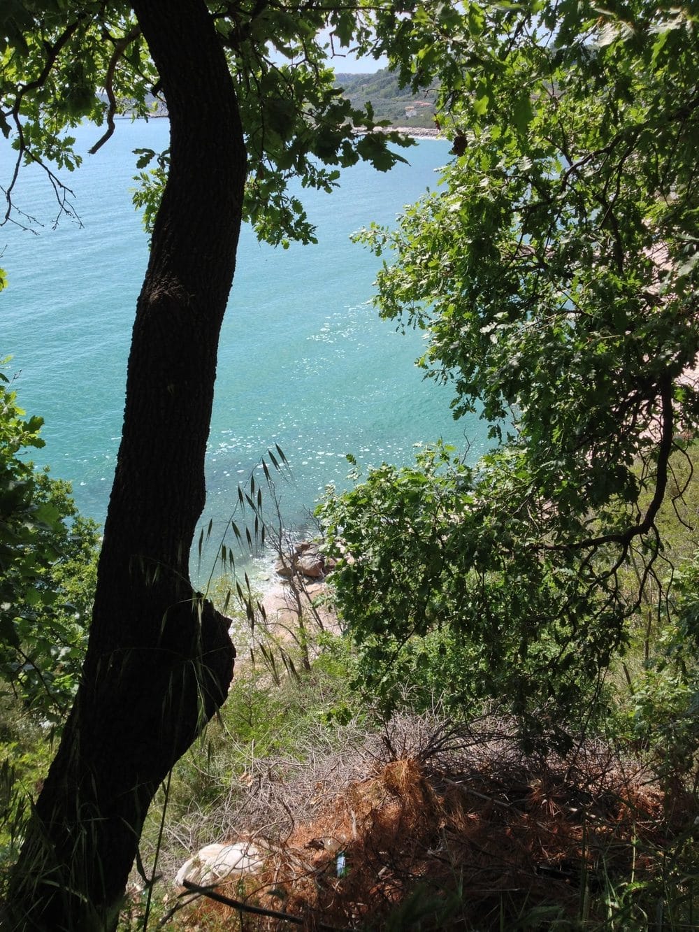 La Riserva Naturale della Grotta delle Farfalle