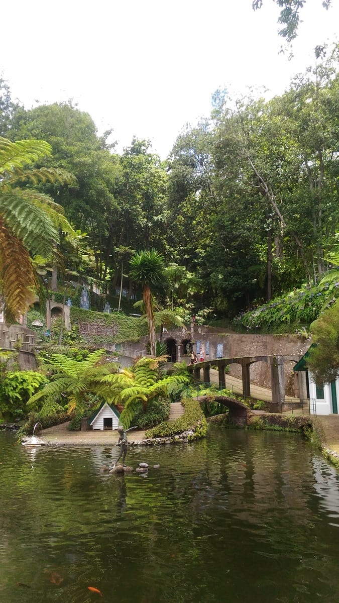 Jardim Tropical a madeira