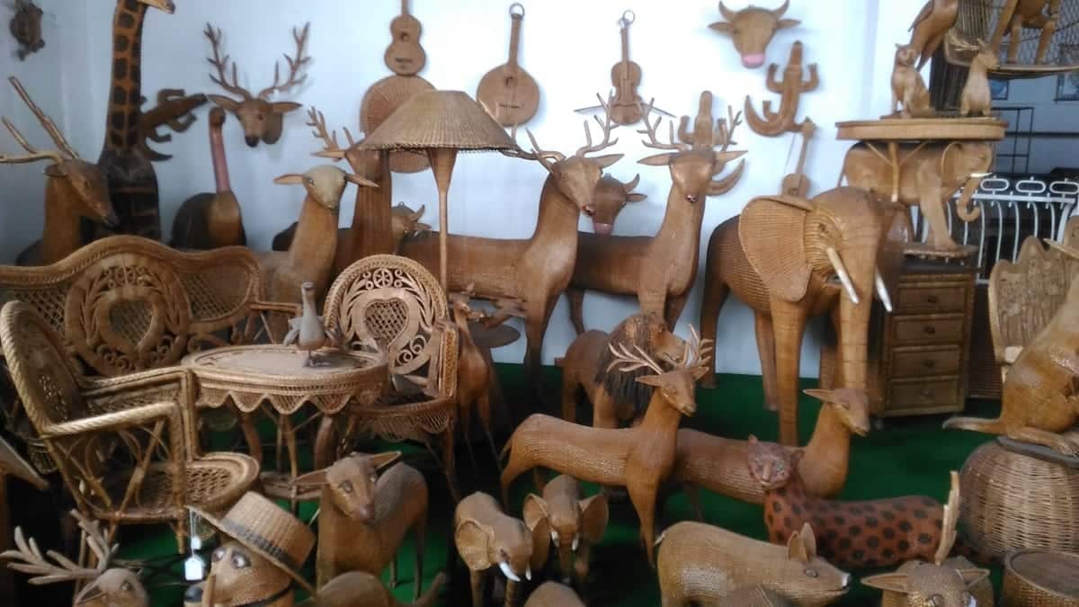 Jardim Tropical a madeira