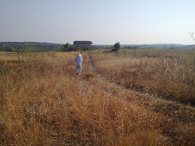 Riserva Naturale di Vendicari (foto di Eleonora) Riserva Naturale di Vendicari - Eloro, Sicilia