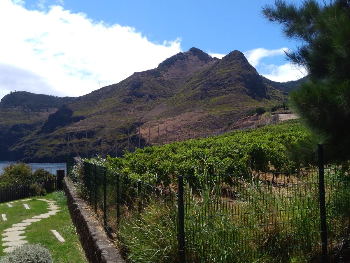 La cittadina di Canical