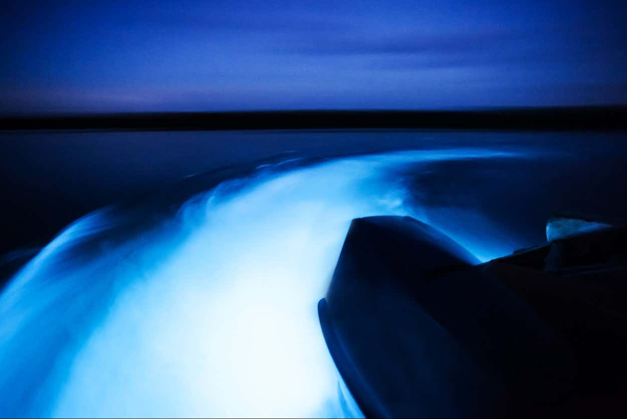 Falmouth: la laguna bioluminescente della Giamaica