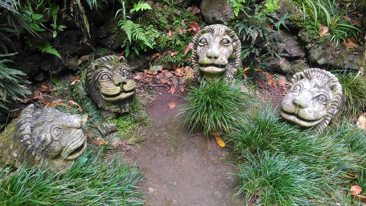 Jardim Tropical a madeira