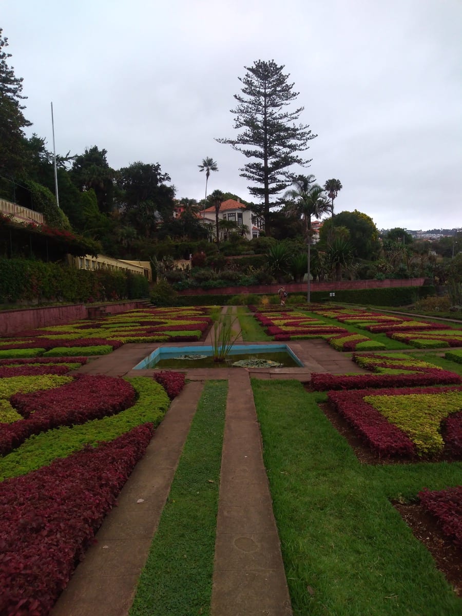 L’Orto Botanico di madeira