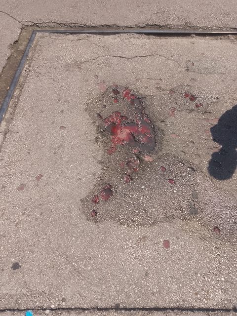 rosa di Sarajevo