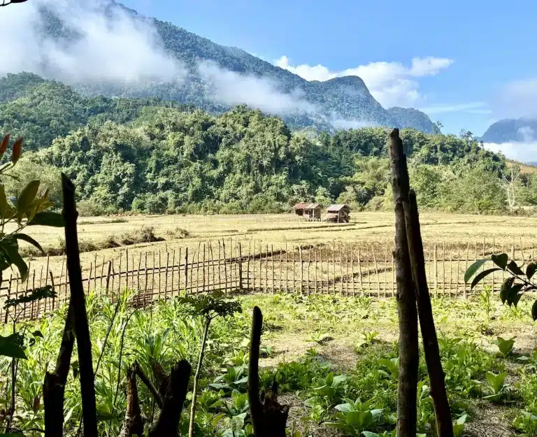 Panorama su una zona remota del laos