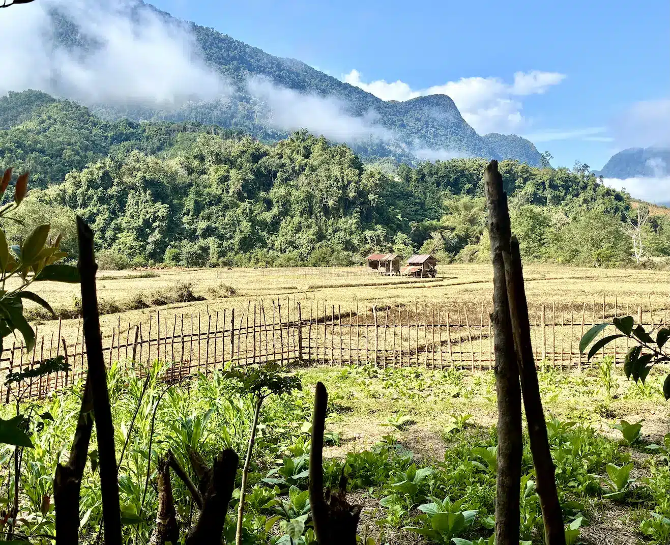 Panorama su una zona remota del laos
