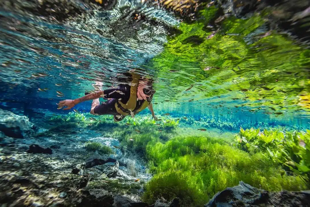Cosa fare a Bonito, Brasile: escursioni, snorkeling e dove dormire