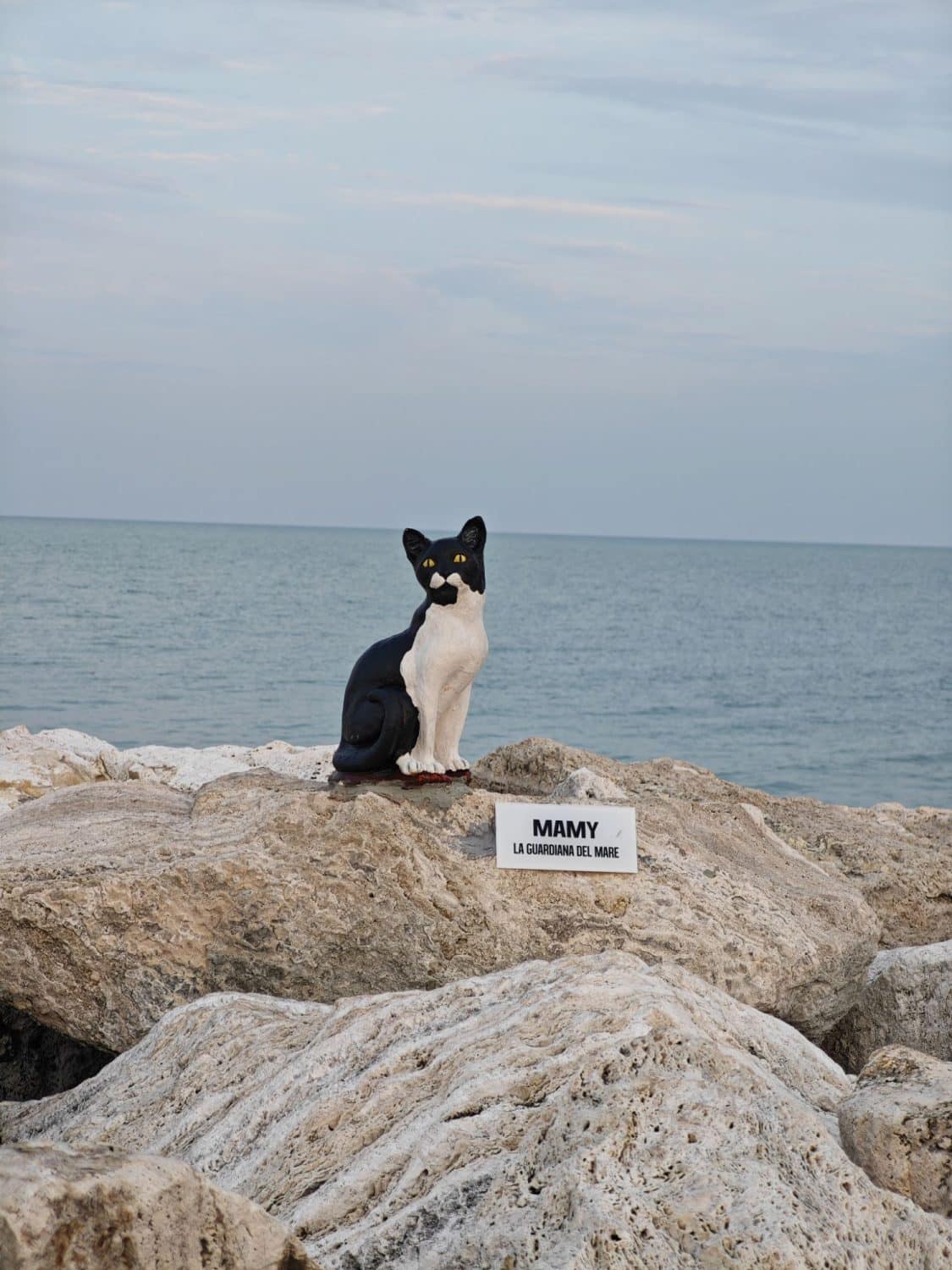 Museo d’Arte sul Mare (MAM) Gatto