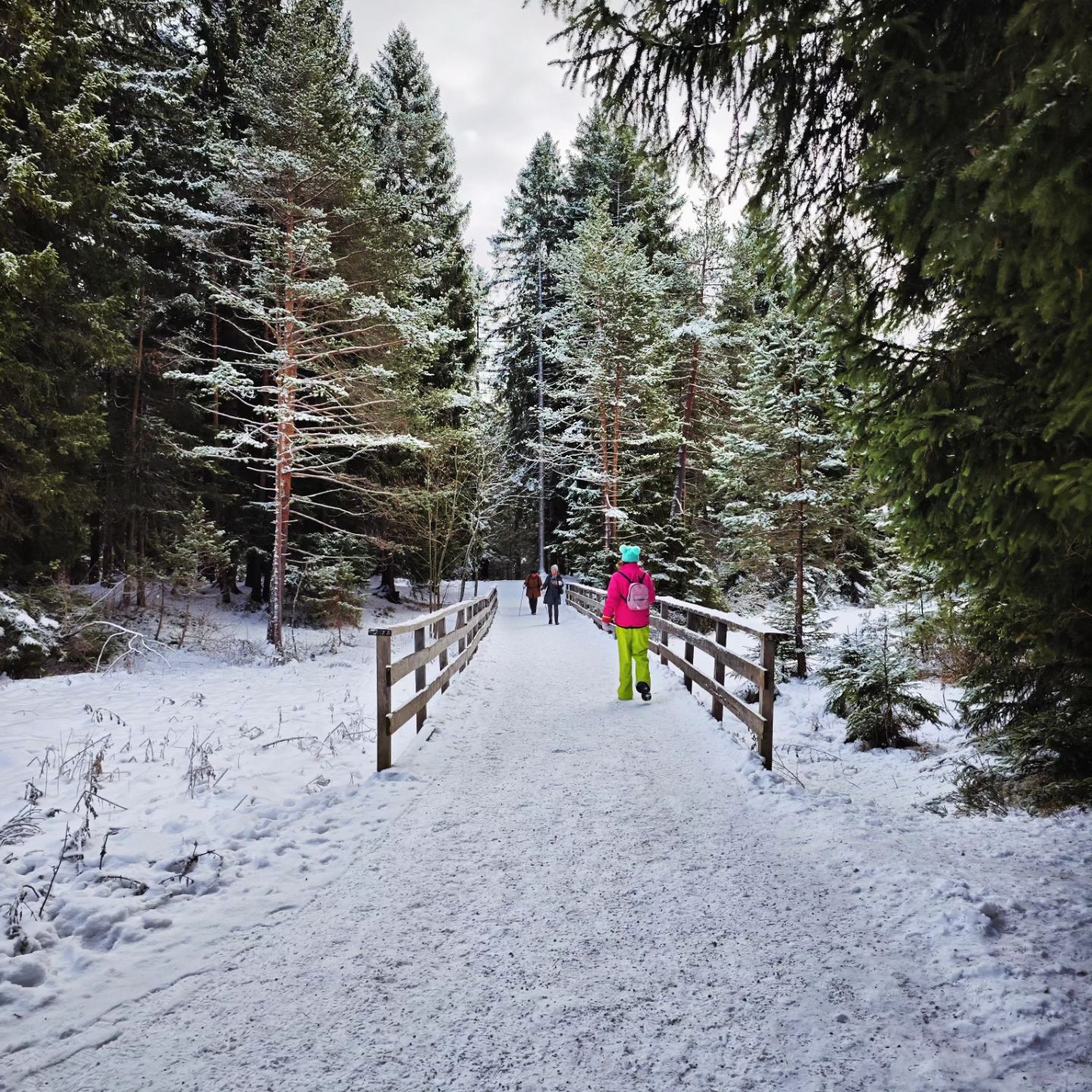 W5 Winter Circular Hike Seefeld