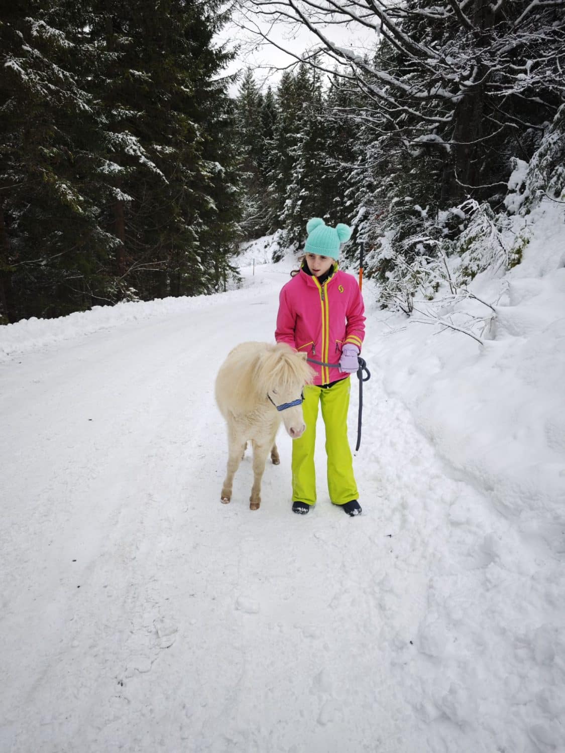Pony Walk verso la Wildmoosalm a Seefeld